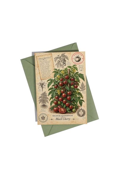 OEM Felicitare Botanică cu Roșii Negre – Colecția de Roșii
