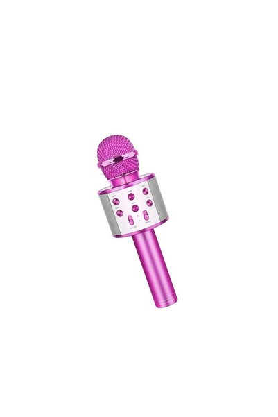 OEM Microfon Karaoke pentru copii Wireless WS-858, Difuzor integrat, Card SD,...