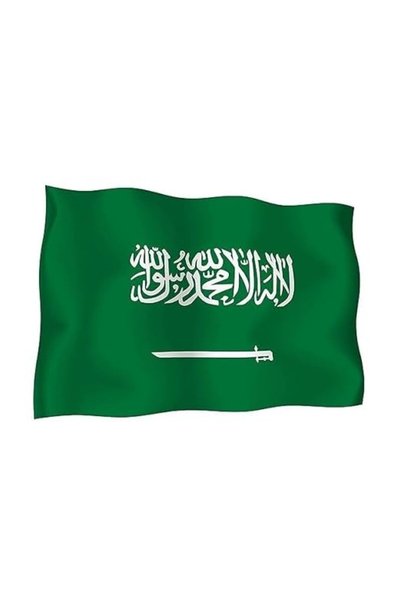 GENERAL علم السعودية الجميل - 60×90 سم، مثالي للاستخدام الداخلي والخارجي، في ...