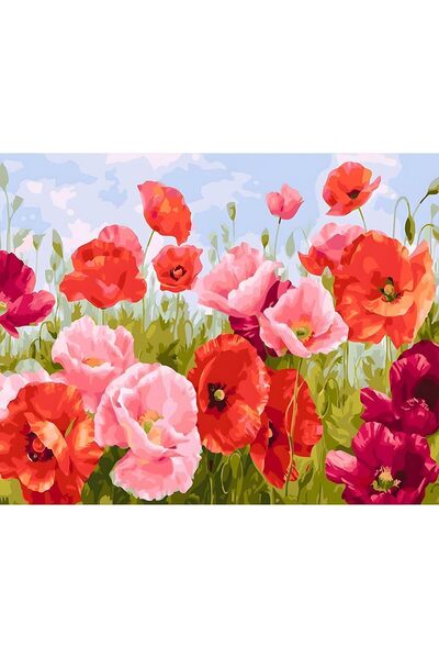 Generic Paint by Number for Adults, 40x50 cm Paint by Numbers Kits for Adults...