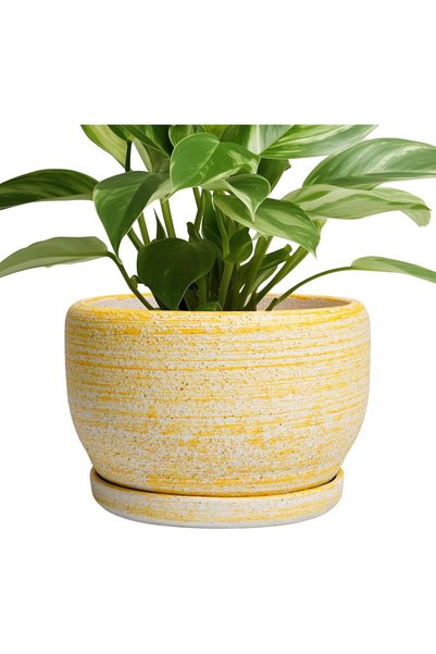 Generic Ceramic Flower Pots - 8 inch Plant Pot Indoor with Drainage Hole and ...