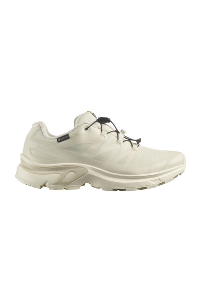 Salomon Xt-Evr Gore-Tex Women's Shoes L47803500 8831