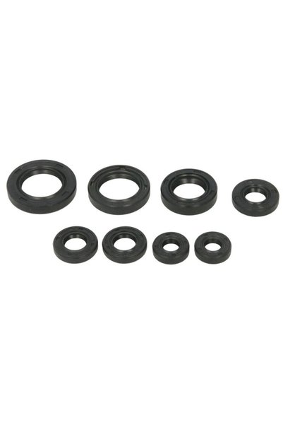 WINDEROSA Set de Garnituri de Motor Honda Trx 200 1990-1997 HONDA TRX W822255