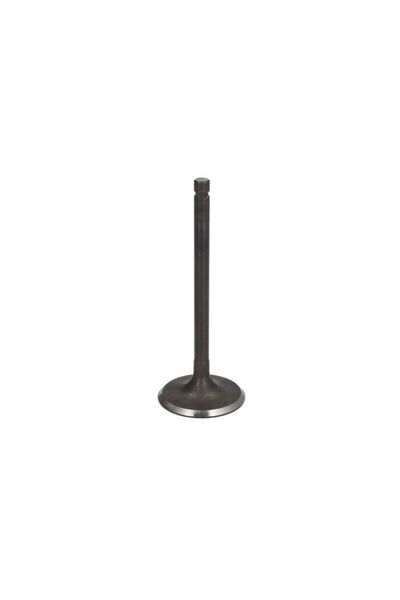 PARSUN Supapa Admisie Marine, Nautic F25-05050001