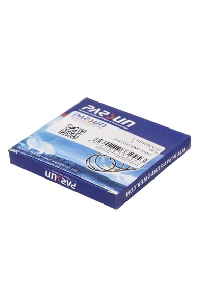 PARSUN Inele de Piston Marine, Nautic F4-04020010