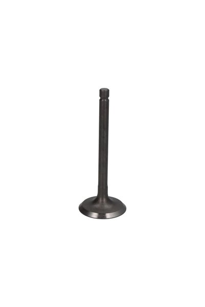 PARSUN Supapa Admisie Motor de Barca Marine, Nautic F15-07040001