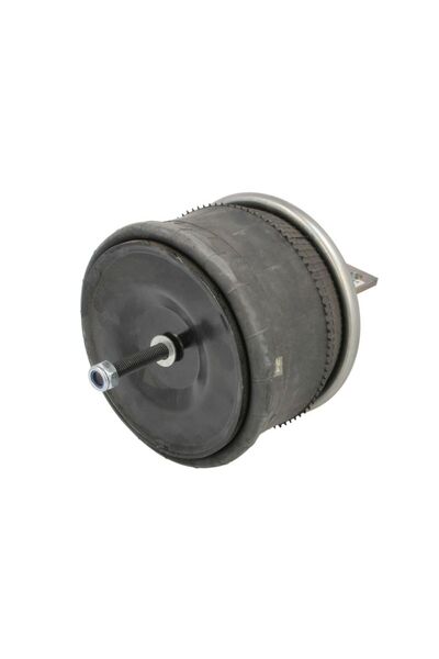 DT Spare Parts Perna de Aer din Spate/Fata Dreapta cu Baza Iveco Stralis Ii S...