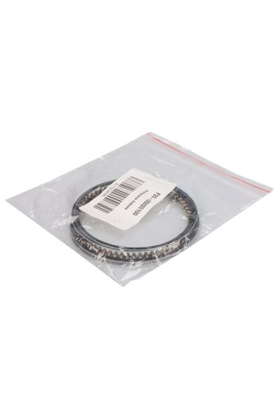PARSUN Inele de Piston Marine, Nautic F20-05020100