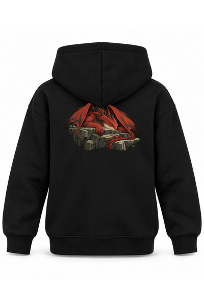 SVART WEAR هودي أسود للأطفال مطبوع عليه How to Train Your Dragon Four Wings S...