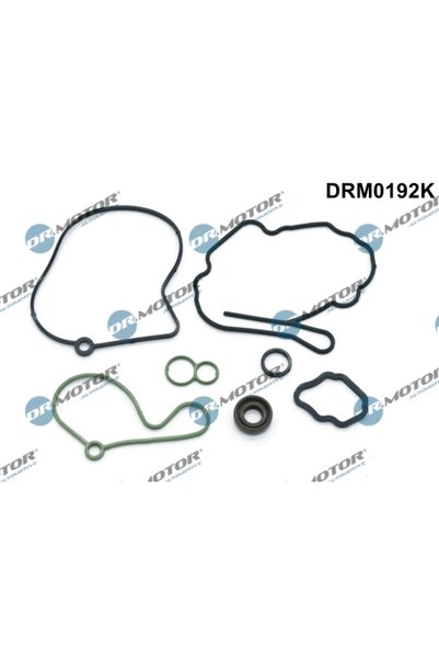 DR.MOTOR AUTOMOTIVE Set Garnituri Pompa Vacuum Audi A2/A3/A4 B5/A4 B6/A4 B7/A...
