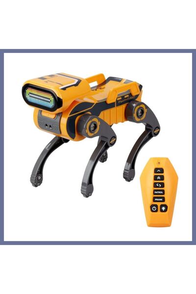 dilaratrendhousee Robo Express 88166 DLRA