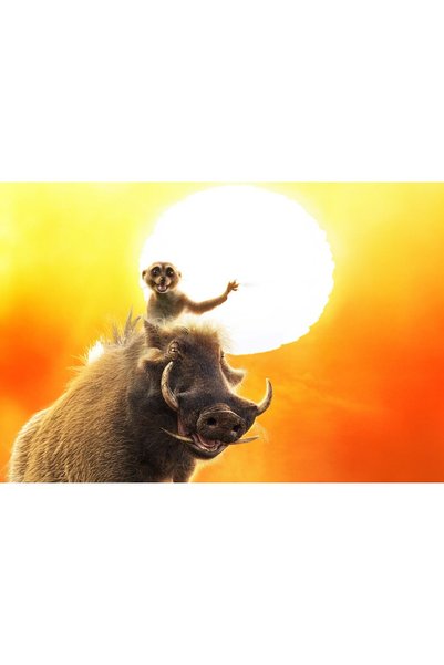 OEM Poster Timon X Pumbaa în Mufasa Regele Leu, 61x90 cm, poster9457