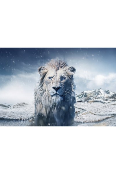 OEM Poster Kiros din Mufasa Regele Leu, 61x90 cm, poster9461