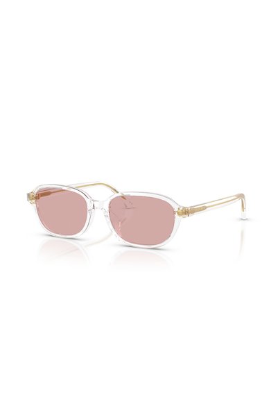 Versace Ve 4514D 148/84 53 Sunglasses