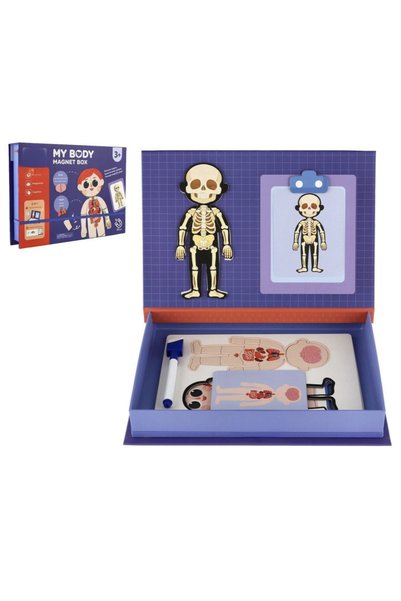 Krista Joc magnetic educativ tip carte, Cutie magnetică Corpul Uman, schelet,...