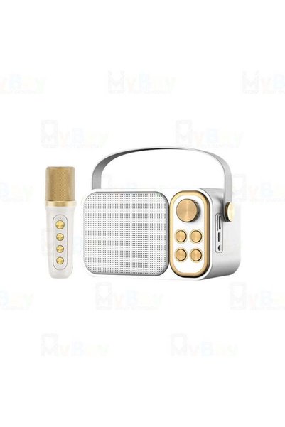 Rolinger Oems ΑΣΥΡΜΑΤΟ ΣΥΣΤΗΜΑ ΚΑΡΑΟΚΕ ΕΠΑΝΑΦΟΡΤΙΖΟΜΕΝΟ ΜΕ ΜΙΚΡΟΦΩΝΟ WY-YS104