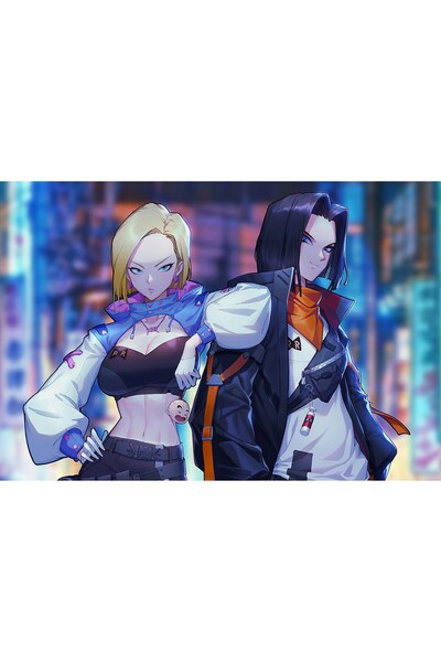 OEM Poster Dragon Ball Doujin, 61x90 cm, poster15780