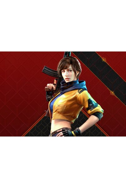 OEM Αφίσα PUBG Pro League Νότιας Ασίας, 61x90 εκ., poster16030