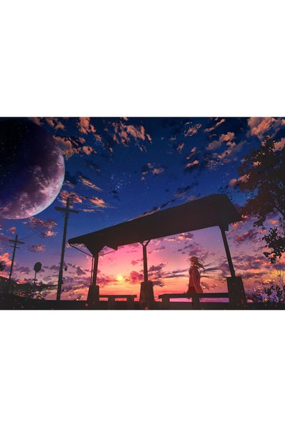 OEM Poster Fată Anime cu Cer Înstelat, 61x90 cm, poster15856