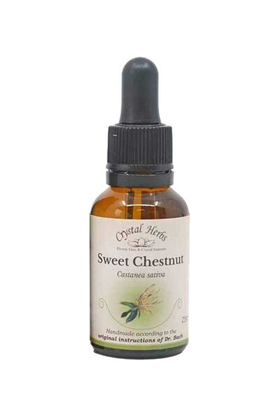 Crystal Herbs Καστανιά (Γλυκιά Καστανιά) Άνθος Μπαχ 25ml