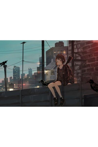 OEM Poster Anime Girl Sitting Alone Roof Sad 4k, 61x90 cm, poster16166