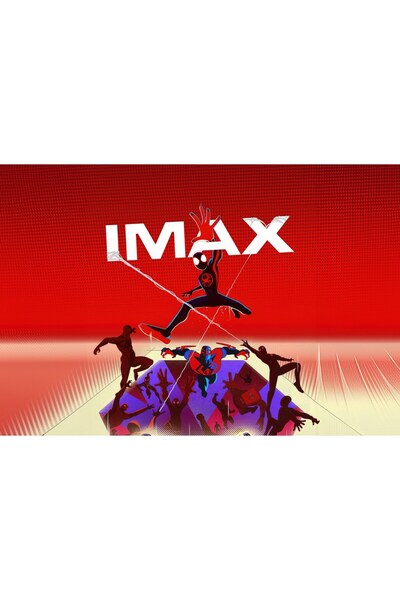 OEM Постер Спайдърмен: През Спайдър-вселената IMAX, 61x90 см, poster17675