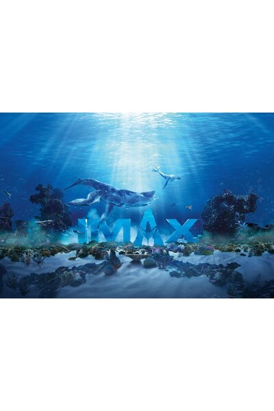 OEM Poster Avatar The Way Of Water 15k, 61x90 cm, poster19899