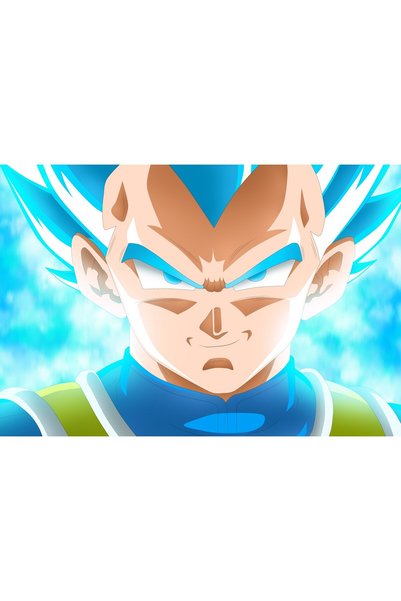 OEM Poster Anime Dragon Ball Goku Piccolo, 61x90 cm, poster19457