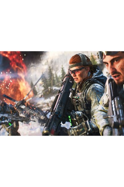 OEM Poster Battlefield 2042 Playstation 5 5k, 61x90 cm, poster21275