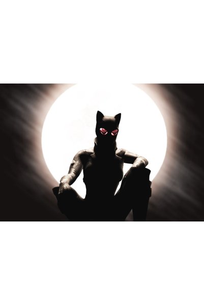 OEM Poster Catwoman, 61x90 cm, poster23589