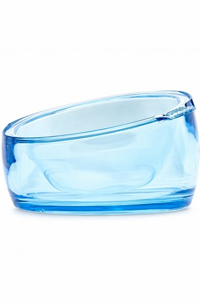 Generic Brand وعاء طعام مائل للكلاب والقطط - أزرق