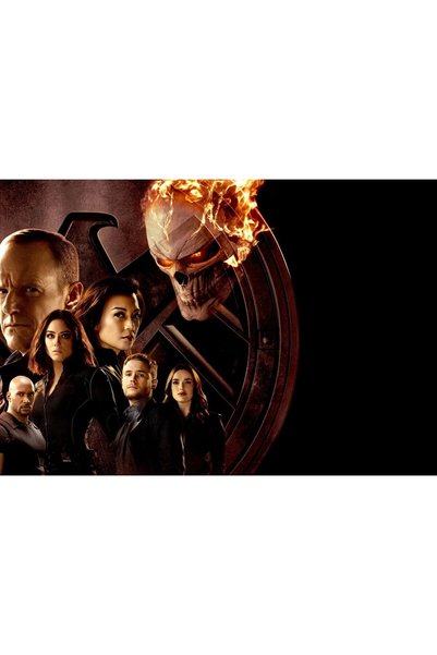 OEM Poster Agents Of Shield Sezonul 4, 61x90 cm, poster23480
