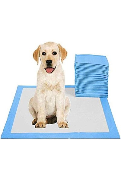 RAG&SAK PetPeePadsDisposable