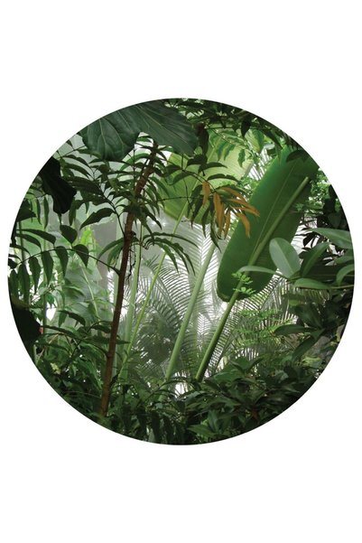 OEM Fototapet A&G CR 3313, model Jungle, 140 x 140 cm