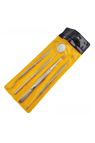Choice 4PCS Dental Tool Set for Removing Dental Dirt Professional Teeth Clean...