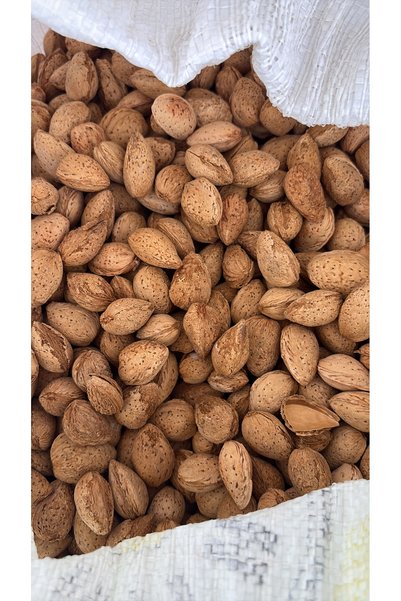 Kabuklu diş bademi (texas cinsi) 3 kilo