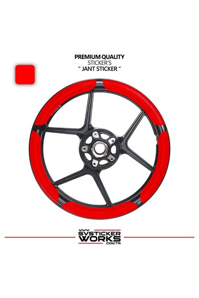 ARONA Taycan Style 17 Inch Motorcycle Wheel Sticker Set – Compatible with Nak...