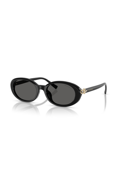 Tiffany&Co . Tf4242-D C.8361/S4 54-19 Sunglasses