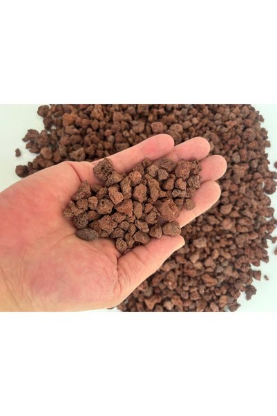 Asenya Pomza 1 Kg 5-10 mm Yanardağ Taşı Kırığı Kırmızı Akvaryum Teraryum Volkanik Ponza Taşı Cürüf