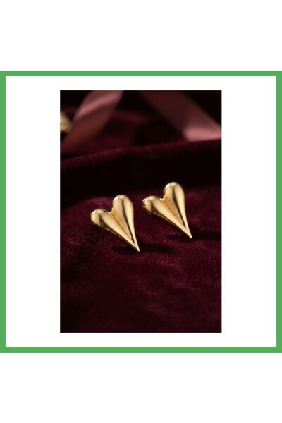 Nur store Çanta 316L Steel Gold Color Model Earrings Bezoss