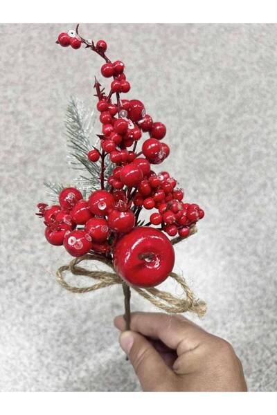 OEM Twig with red berries and apple