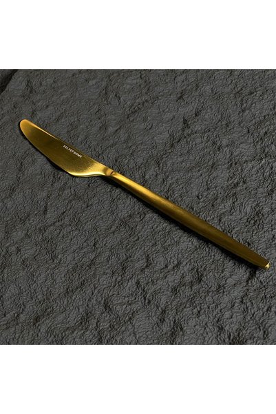 NO BRAND Gaze 47950 table knife, stainless steel, silver, 1 pc.