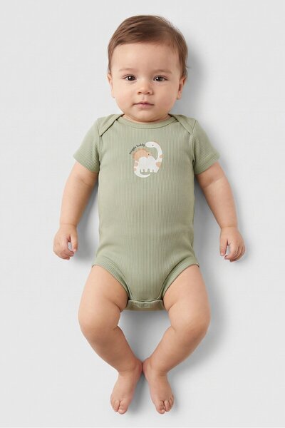 RENE ROFE Toddlers Boy 5 Pcs Embroidered Bodysuits, Multicolor