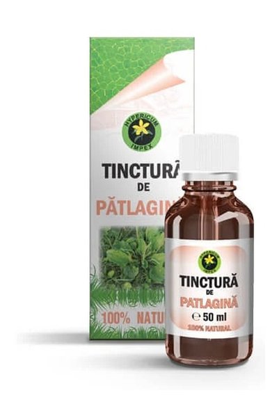 HYPERICUM Hypericum plantain tincture, dietary supplement from plantain leave...