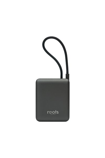 ROOTS INNOVATIONS Mini 10000mAh Power Bank 22.5W Fast Charging with Built-in ...