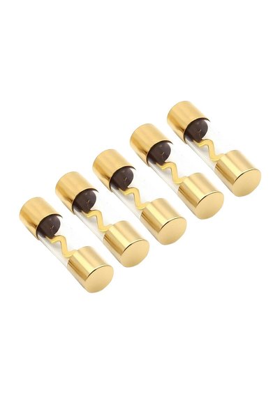 Generic فيوزات صوت السيارة AGU، 5 قطع 60 أمبير مطلية بالذهب، فيوزات زجاجية دا...
