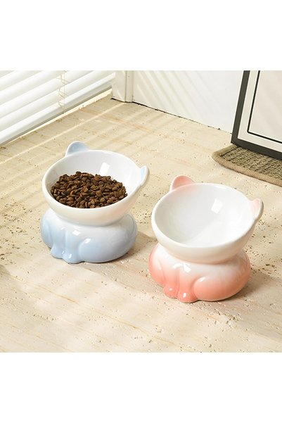 Generic 2 Pcs Ceramic Elevated Cat Bowls - Tilted Raised Cat Bowl Anti Vomit ...