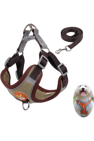 Generic Small Dog Harness No Pull, Adjustable Dog Strap, Easy Control Padded ...