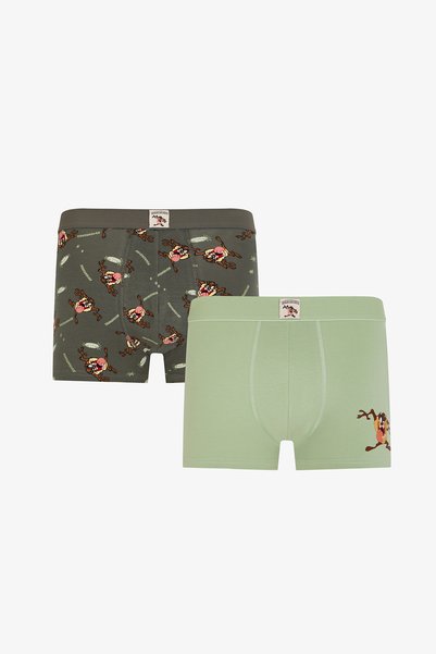 Penti Erkek Tasmanian Tazmania Desenli 2'li Boxer