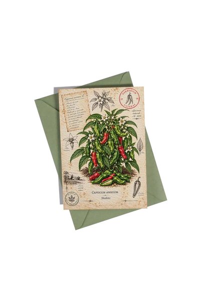 OEM Felicitare Botanică cu Ardei Shishito – Colecția Chili